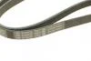 Ремень генератора поликлиновый Renault Kangoo 1.4i 98-/ 1.6i 02- (5PK1110) BOSCH 1987947926 (фото 3)