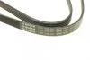 Ремень генератора VW Passat B5/Audi A4/A6 1.9TDI 98-05/Skoda Superb 1.9/2.0TDI 01-08 (5PK1432) BOSCH 1987948491 (фото 4)