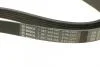Ремень генератора MB E-class (W124)/G-class (W463) 89-97 (M103) (6PK2257) BOSCH 1987948495 (фото 4)