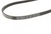 Ремінь генератора поліклиновий Hyundai Tucson/i30/Kia Sportage/Carens/Ceed/Suzuki Grand Vitara 04-/Audi/BMW/Mazda BOSCH 1987947898 (фото 3)