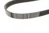 Ремінь генератора поліклиновий VW Caddy III 1.4/1.6 04-/Golf/Polo 1.2/1.4TSI 12-/Audi A3 1.2/1.4TFSI 13- (6PK737) BOSCH 1987947932 (фото 3)
