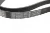 Ремінь генератора MB Sprinter CDI (-AC) (6РК2196) BOSCH 1987948429 (фото 2)