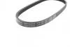 Ремень генератора Chevrolet Aveo/Daewoo Kalos 1.2 03- (4PK648) BOSCH 1987946010 (фото 3)