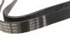 Ремінь генератора Peugeot Expert/Citroen Jumpy 2.0HDi 07-/Ford Focus/Kuga 2.0TDCi 04-12 (6PK1215) BOSCH 1987948391 (фото 2)