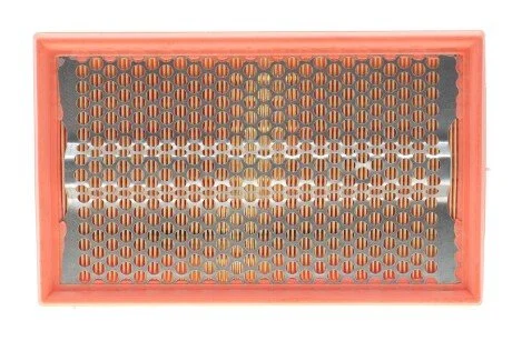 Фільтр повітряний WIX = FN AP010/1 WIX FILTERS WA6173