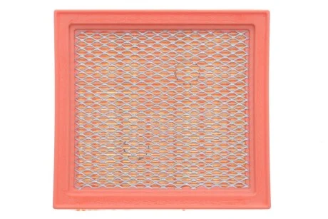 Фільтр повітряний WIX = FN AP124 WIX FILTERS WA6305