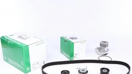 Водяний насос + комплект зубчатого ременя 530 0049 30 INA 530004930