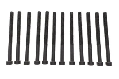 Комплект болтів ГБЦ VICTOR REINZ 14-32190-01