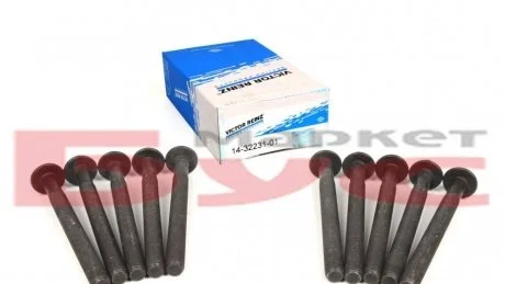 Болти головки (к-кт 10шт.) Renault Trafic 2.0-2.5dCi /Master 2.5dCi VICTOR REINZ 14-32231-01