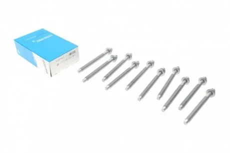 Болти головки (к-кт 10шт.) Citroen Berlingo 2.0HDI 99-06 VICTOR REINZ 14-35774-01