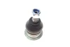 Опора кульова (передня/зверху) Honda Accord VI 1.6-2.3 16V 97-03 BLUE PRINT ADH286149 (фото 4)