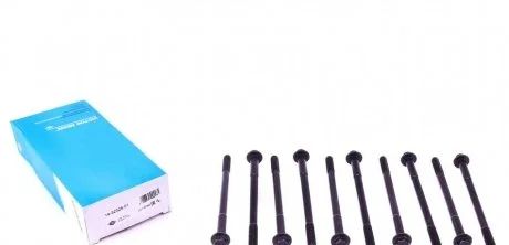 Болты головки (к-кт 10шт.) Daewoo Lanos/Nubira/Lacetti 1.4i-1.6i 16V 97- (M10x1.25x166) VICTOR REINZ 14-32325-01