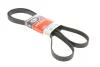 Ремінь генератора Infiniti FX/M45/Lexus GS/Mitsubishi Outlander 1.8-4.5 93- Gates 6PK1938 (фото 1)