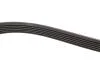 Ремінь генератора Audi A8 3.0i 03-06/Lexus GS/IS 3.0/3.5 00-11/Ford Fiesta 1.25-1.6 94-02 Gates 6PK1928 (фото 3)