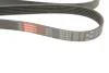 Ремінь генератора Audi/BMW/Chevrolet/MB/Opel Gates 6PK1873 (фото 4)