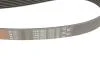 Ремінь генератора Ford Scorpio II/Toyota Camry 2.4i/3.5i 94- Gates 7PK1905 (фото 4)