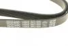 Ремінь генератора VW T4 2.0i 91-03/Opel Vectra A/B DAYCO 6PK1900 (фото 4)
