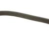 Ремінь генератора VW Passat/Audi A4 2.5TDI/3.2FSi 94- DAYCO 6PK2400 (фото 3)