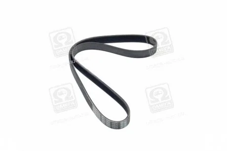 Ремінь DAYCO 6PK1005