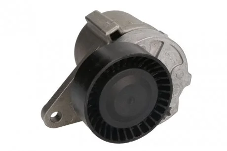 Натягувач NTN-SNR SNR NTN GA365.31