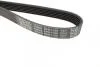 Ремінь генератора Nissan Primera/Fiat Marea 1.8-2.4JTD 96-02 DAYCO 6PK1105 (фото 3)