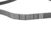 Ремень поликлиновой DAYCO 5PK1572 (фото 4)