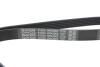 Ремень поликлиновой DAYCO 6PK2063 (фото 4)
