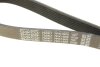 Ремень генератора Ford Scorpio II/Toyota Camry 2.4i/3.5i 94- DAYCO 7PK1905 (фото 5)