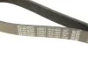 Ремень генератора Ford Scorpio II/Toyota Camry 2.4i/3.5i 94- DAYCO 7PK1905 (фото 5)