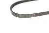 Ремінь генератора Fiat Sedici/Honda Civic/Kia Pride/Opel Omega B 1.6-4.4 88-14 Gates 4PK803 (фото 3)