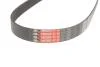 Ремінь генератора Citroen Berlingo 1.6VTi 09- Gates 6PK905 (фото 3)