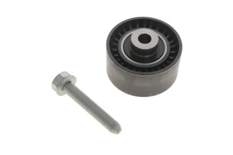 Шків привідного паса 532 0289 10 INA 532028910