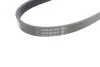 Ремінь генератора Renault Kangoo 1.2i, 97- DAYCO 5PK875 (фото 3)