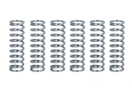 Пружины сцепления FERODO FSS0203