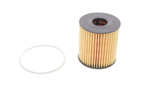 Фільтр масляний HENG HENGST FILTER E44H D110