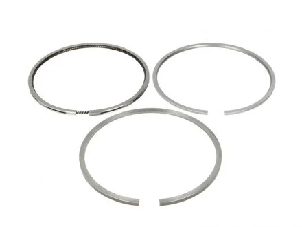 Кільця поршневі(1cyl) RVI 102.0(3,5/2,5/4) Dci 6 Euro3 MH MAHLE / KNECHT 209 72 N0