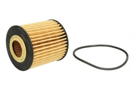 Фильтр масляный HENGST HENGST FILTER E20H D79 (фото 1)