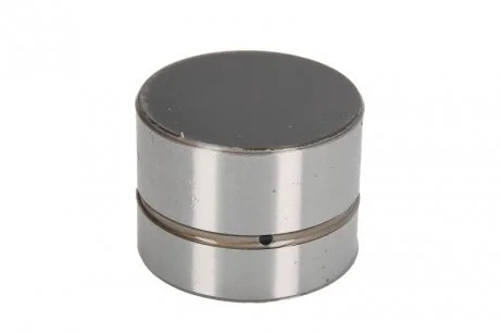 Гідрокомпенсатор VW LT 2.5TDI/T4 1.9D/2.4D (35x26) INA 420002210