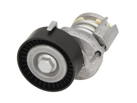 Натяжник ременя генератора VW Polo/Golf/Skoda Octavia/Fabia 1.0-1.6 97- INA 534012320