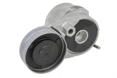 Натяжник ременя генератора Audi A4/A6/VW Passat 91-05 INA 534011620