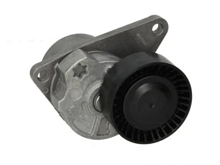 Натяжник ременя генератора Volvo C70/S40/S60/S70/S80/V40/V70 -07 INA 534010310