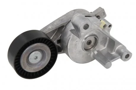 Натяжник ременя генератора VW Caddy 1.9TDI/2.0SDI, 04-10, (70x24) INA 534005910