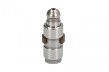 Гідрокомпенсатор BMW X3 (E83/F25)/X5 (E70) 03-, M47/M57/N47/N57 INA 420009010