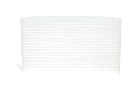 Фільтр салону Nissan Leaf 10- BOSCH 1987432267