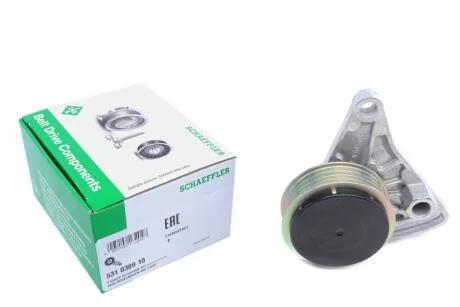 Шків натяжний 531 0309 10 INA 531030910