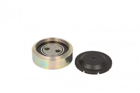 Ролик генератора VW Passat 2.5TDI (натяжний) (63х17) INA 531030710