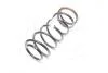 Пружина передняя GM 96257711 (фото 4)