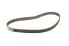 Ремінь ГРМ Hyundai Coupe/Elantra/i30/Kia Sportage/Cerato 2.0 96- (113x25.5) BOSCH 1987949509 (фото 2)