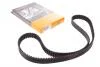 Ремінь ГРМ Citroen Jumpy/Nemo/Peugeot 206/307/806/807 1.4/2.0HDi 99- (144x25) CT1063
