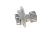 Насос воды Daewoo Lanos 1.4 03-/Nubira 1.6 16V 97- INA 538006610 (фото 3)